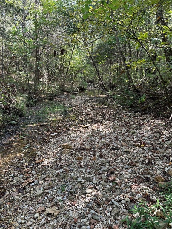 Image 19