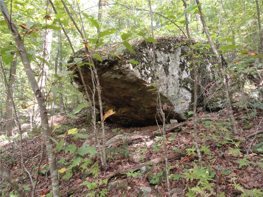 Image 13