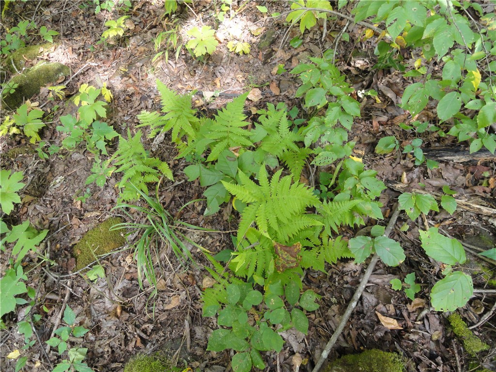 Image 14