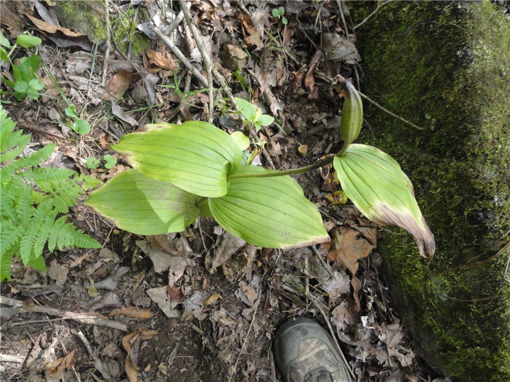 Image 15