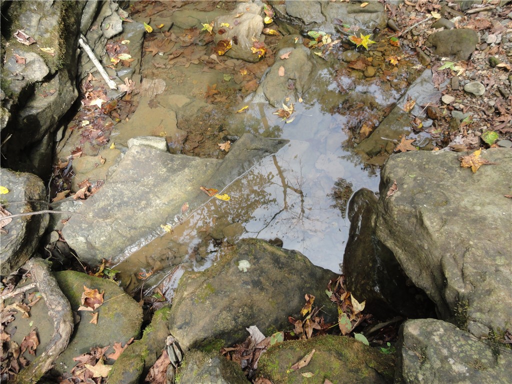 Image 17