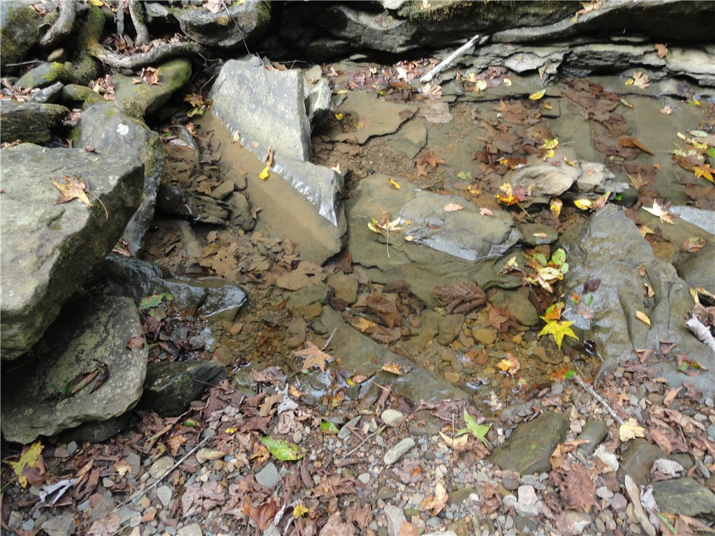Image 18