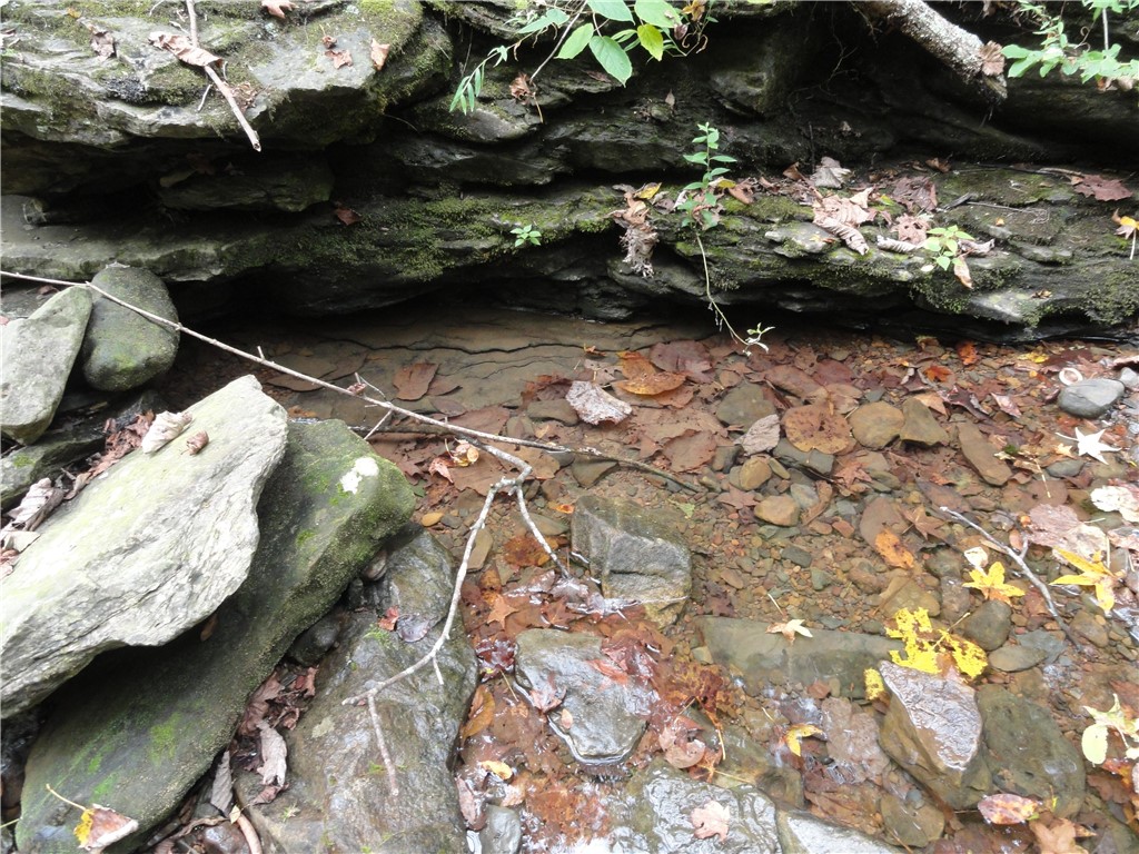 Image 19