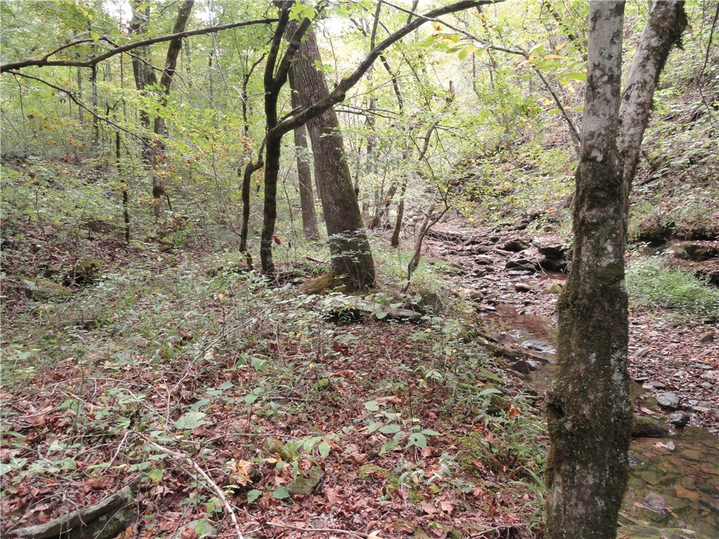 Image 21