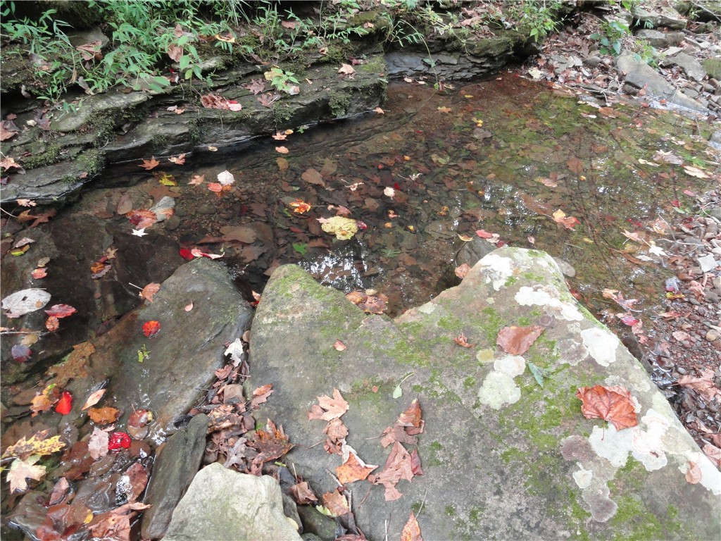 Image 22