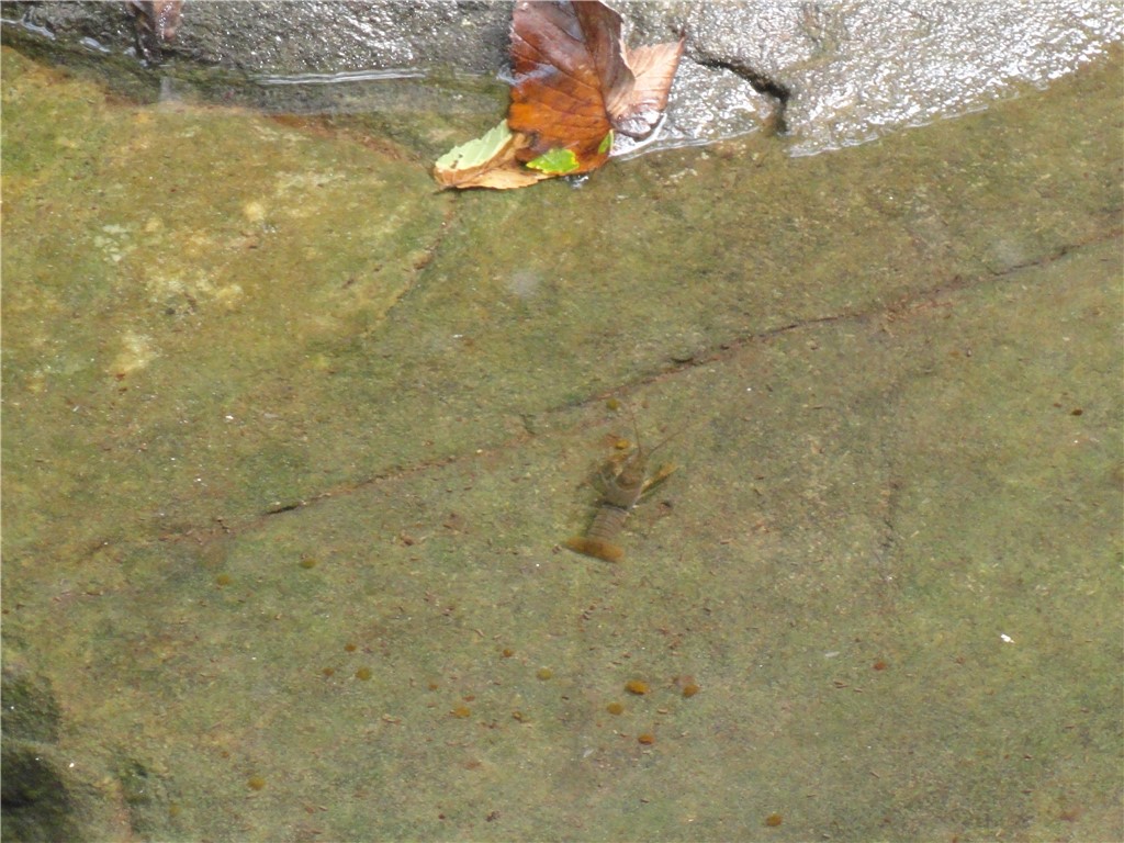 Image 24