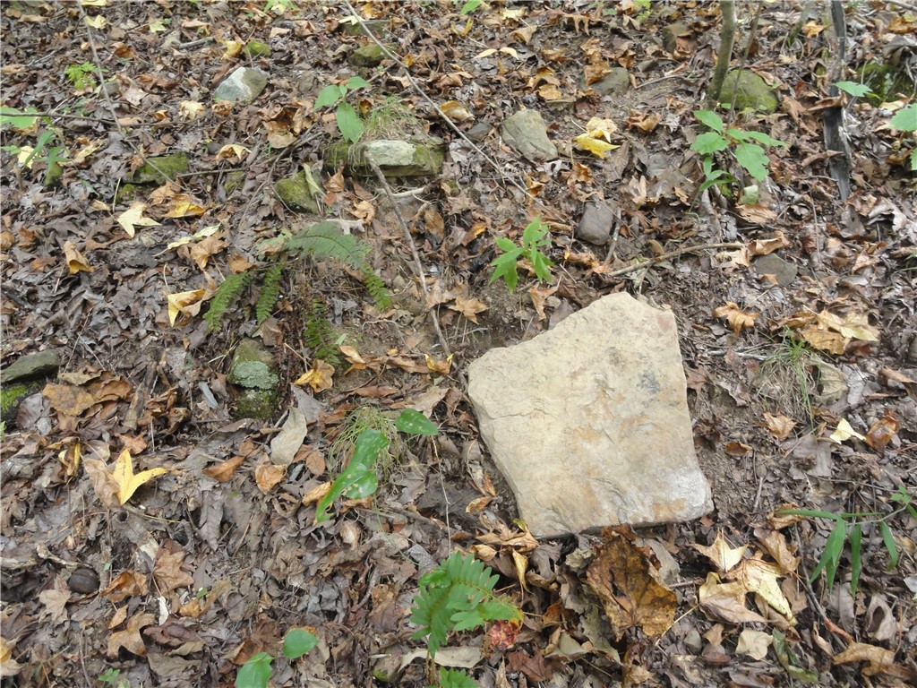 Image 30