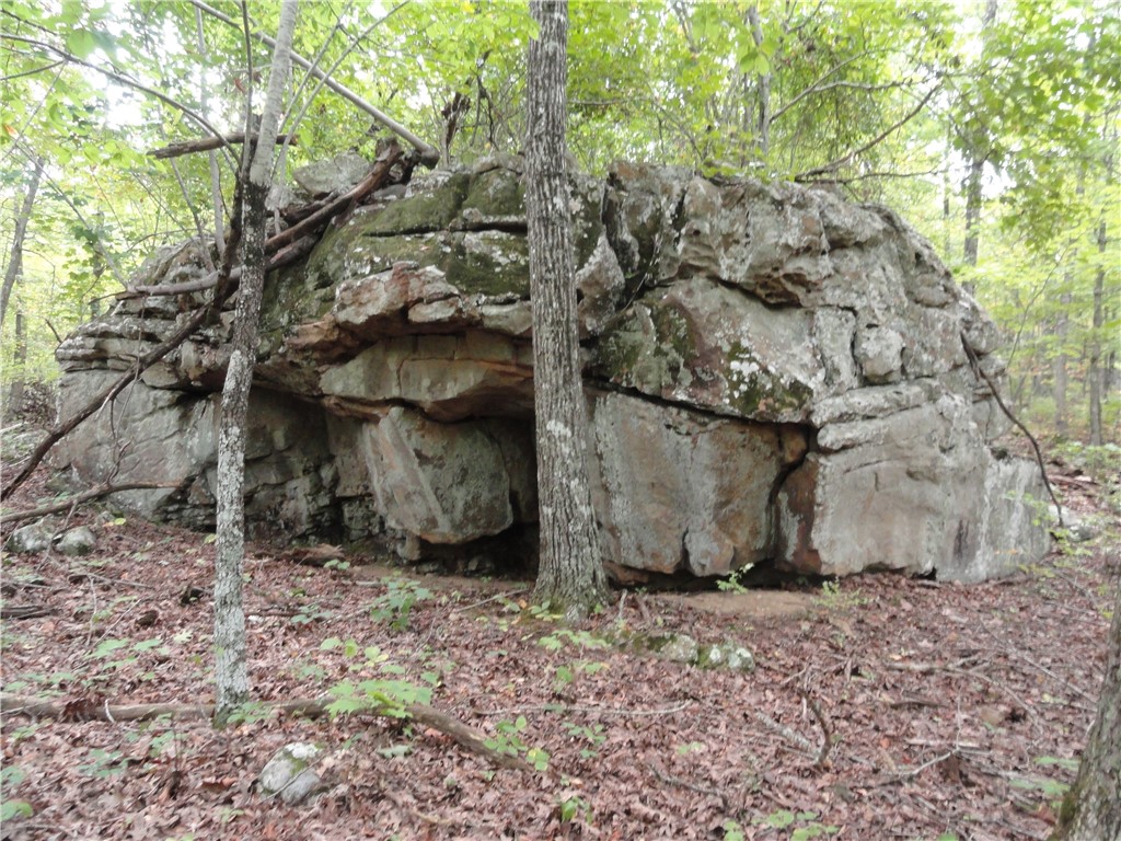 Image 35