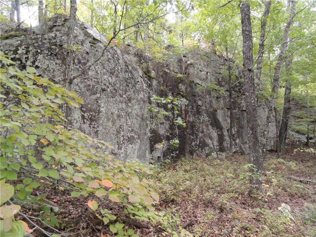 Image 36