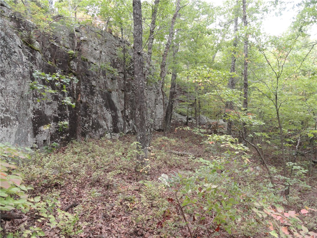 Image 37