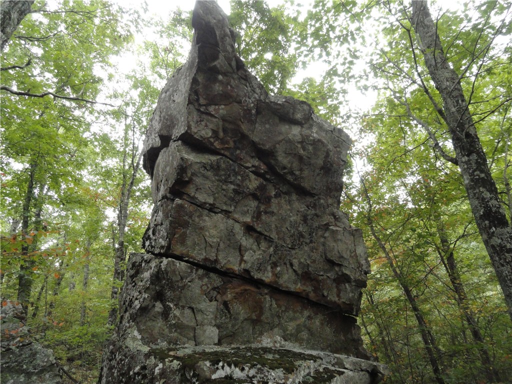 Image 38