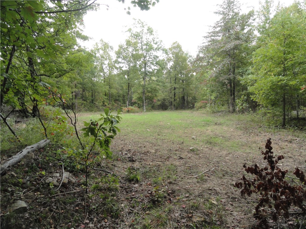 Image 41