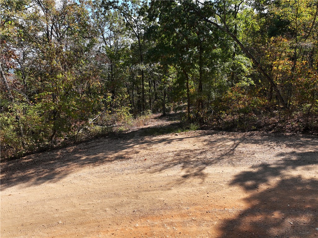 Image 19