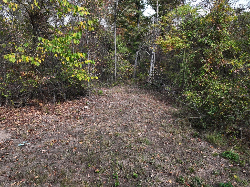 Image 29