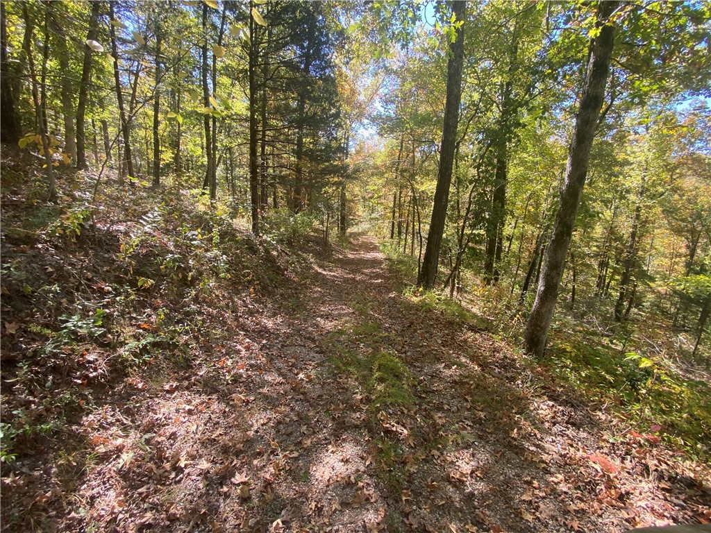 Image 13