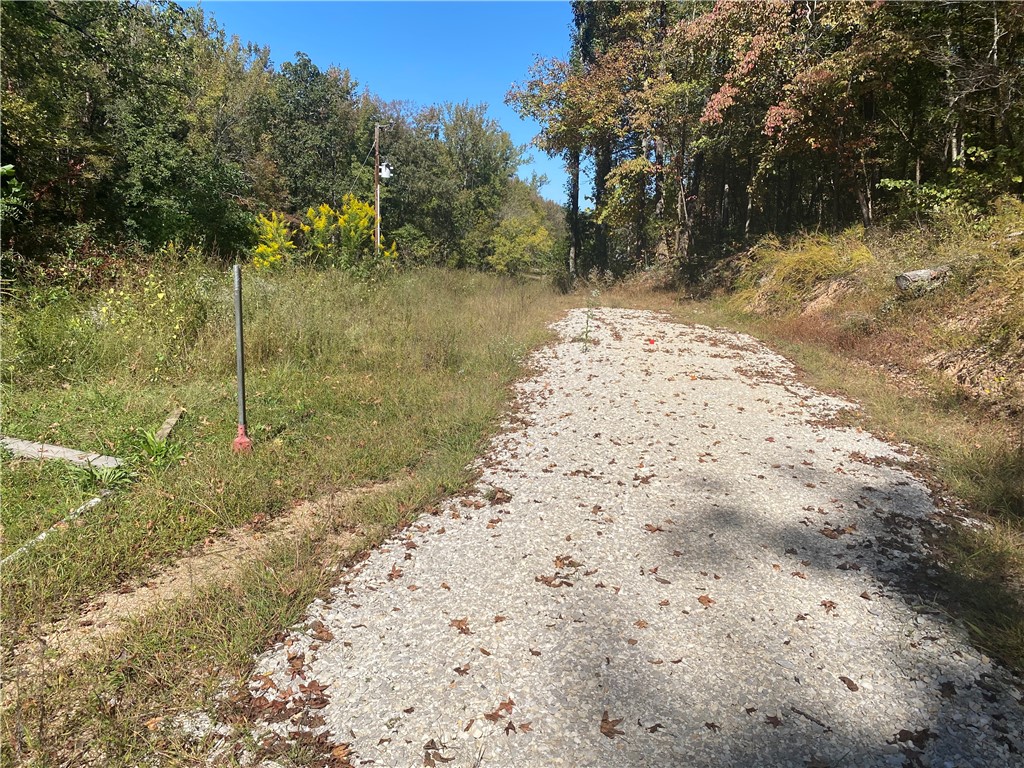 Image 14