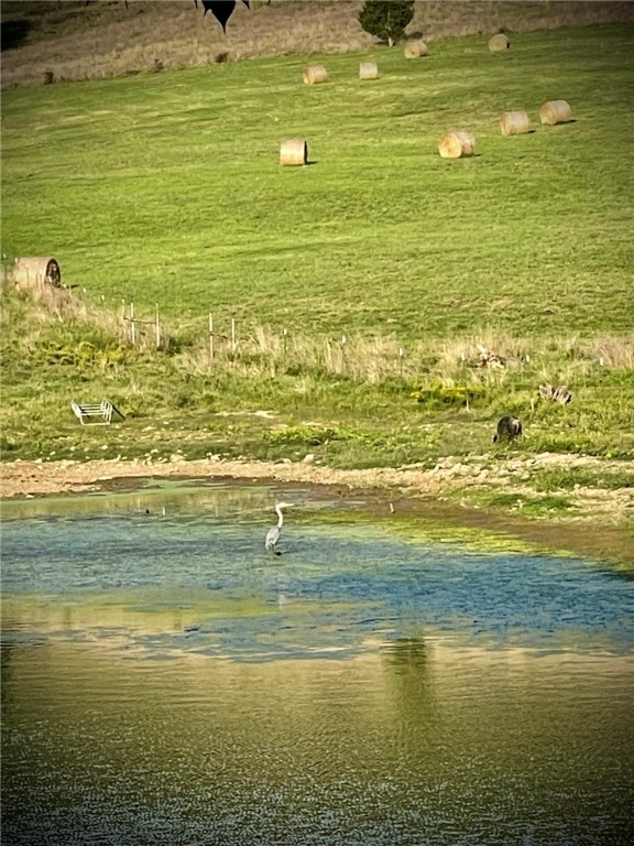 Image 12