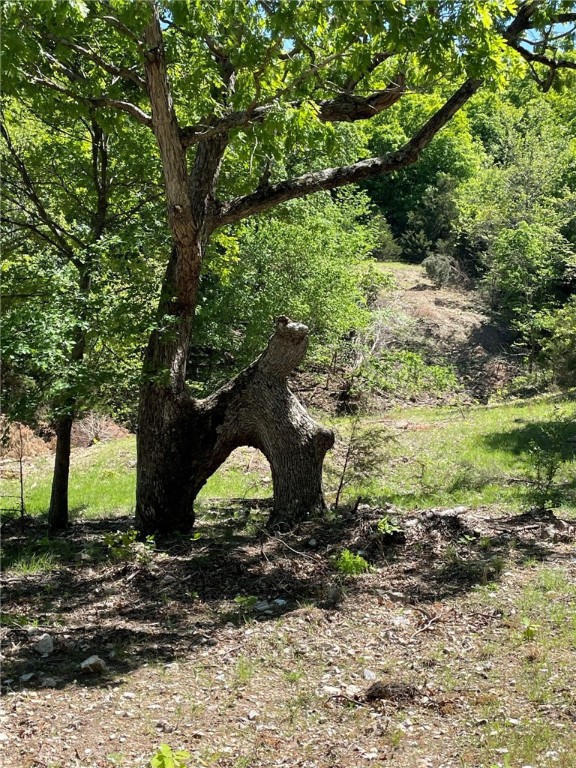 Image 30