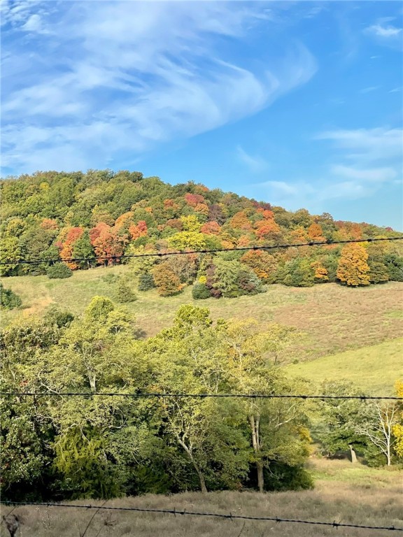 Image 33