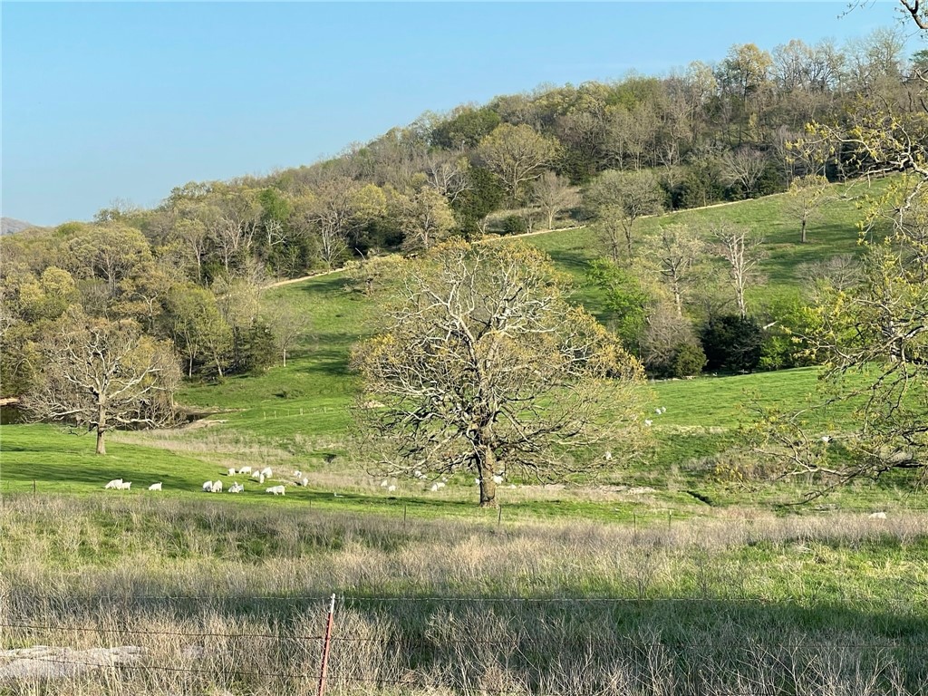 Image 38