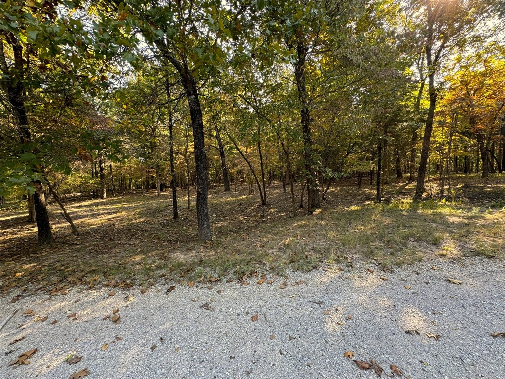Image 10