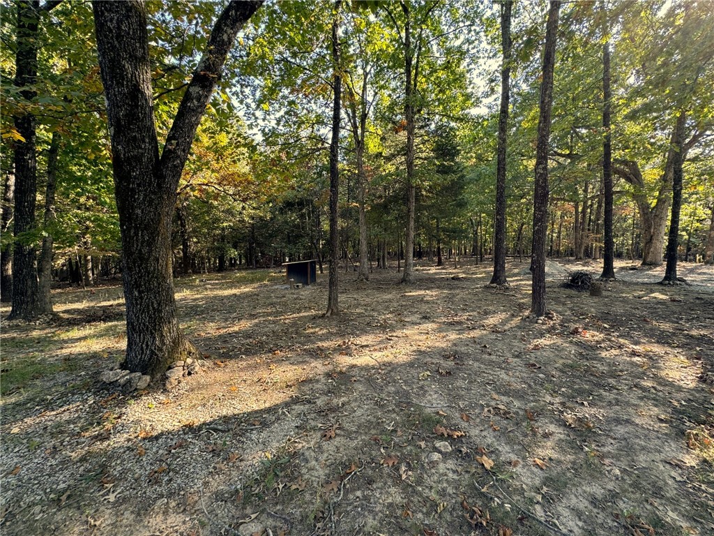 Image 14