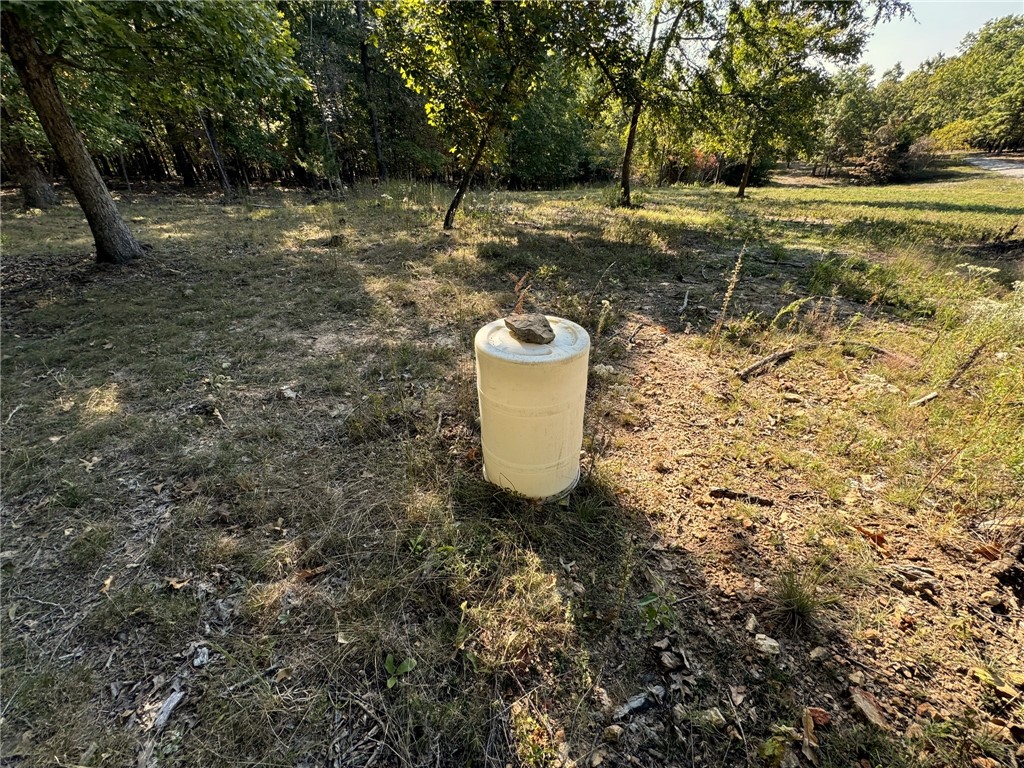 Image 23