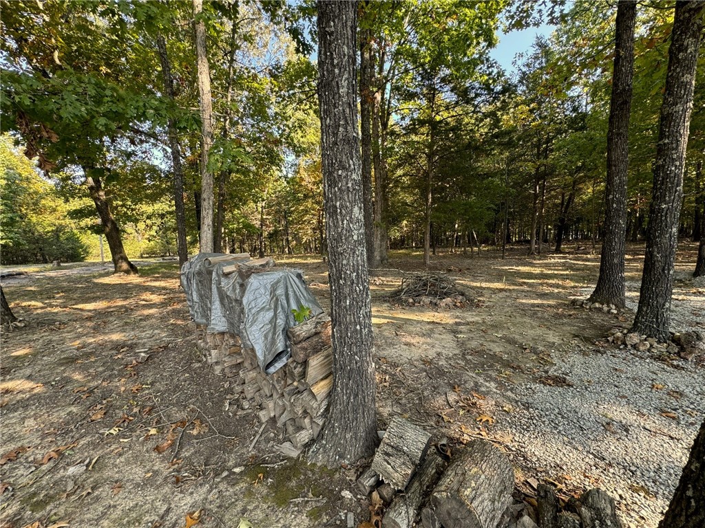Image 28