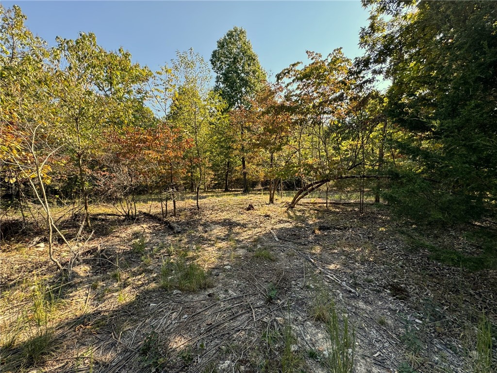 Image 35