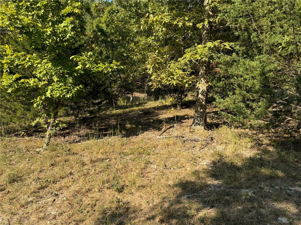Image 38