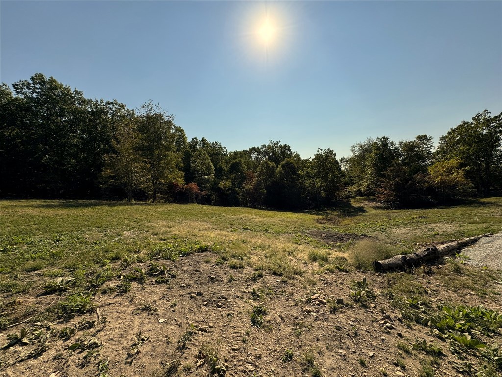 Image 45