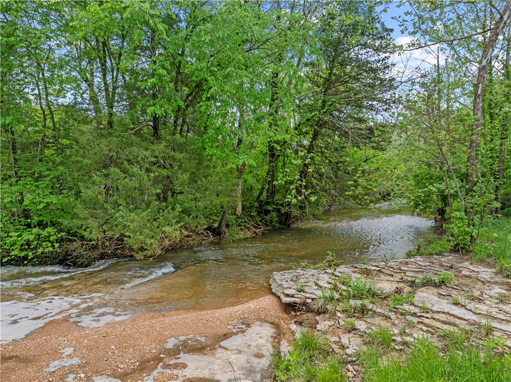 Image 45