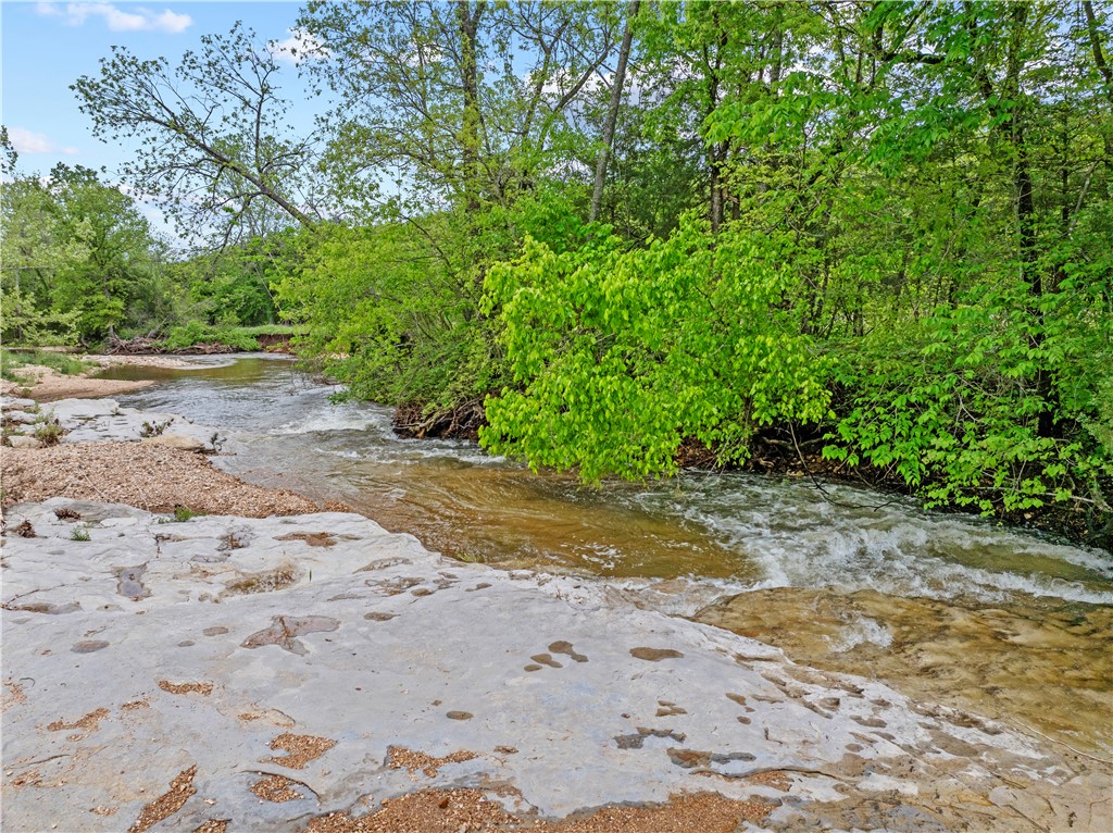 Image 46