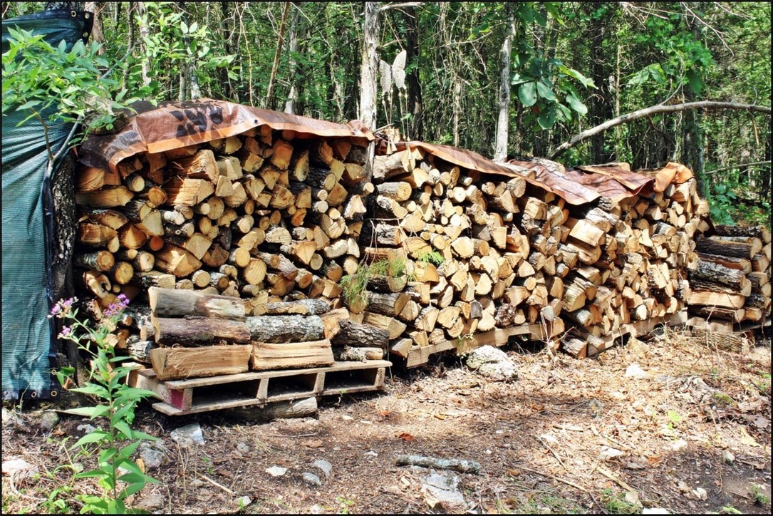 Image 22