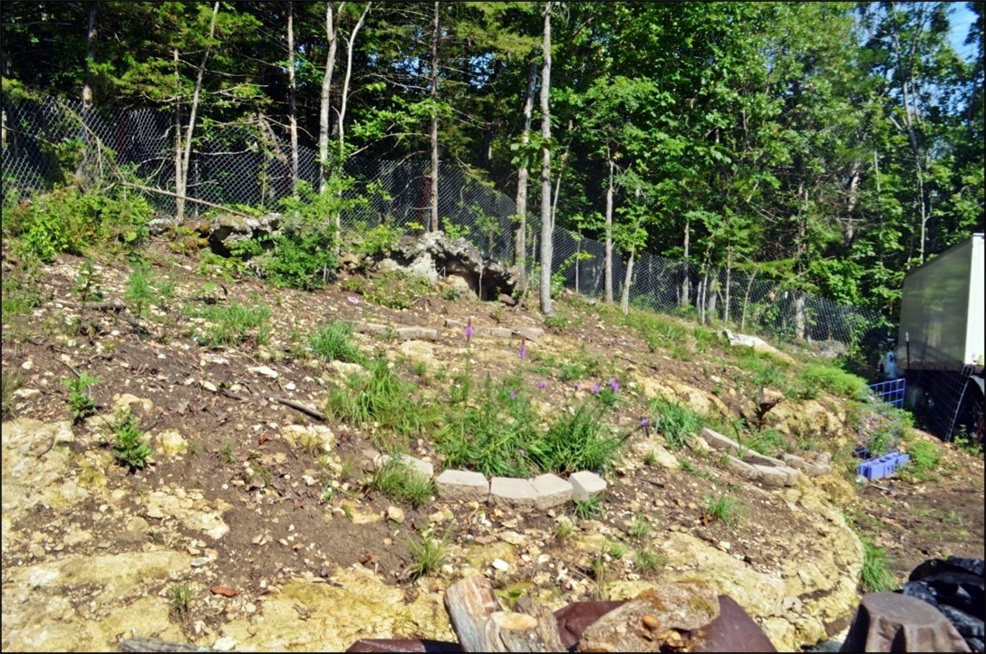 Image 25