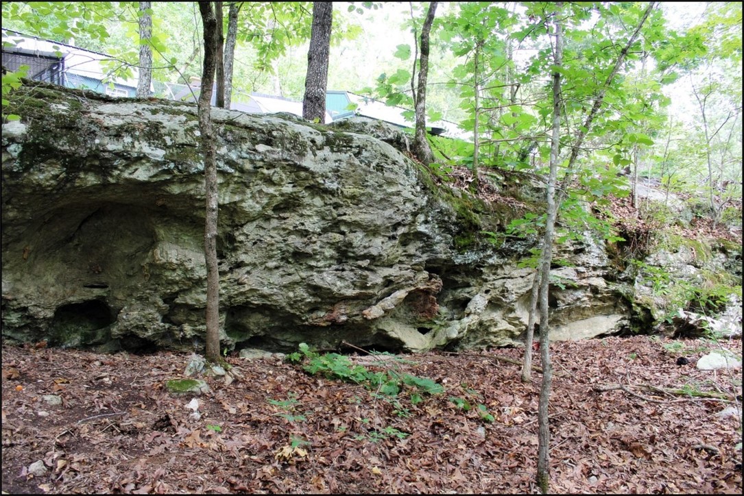 Image 28