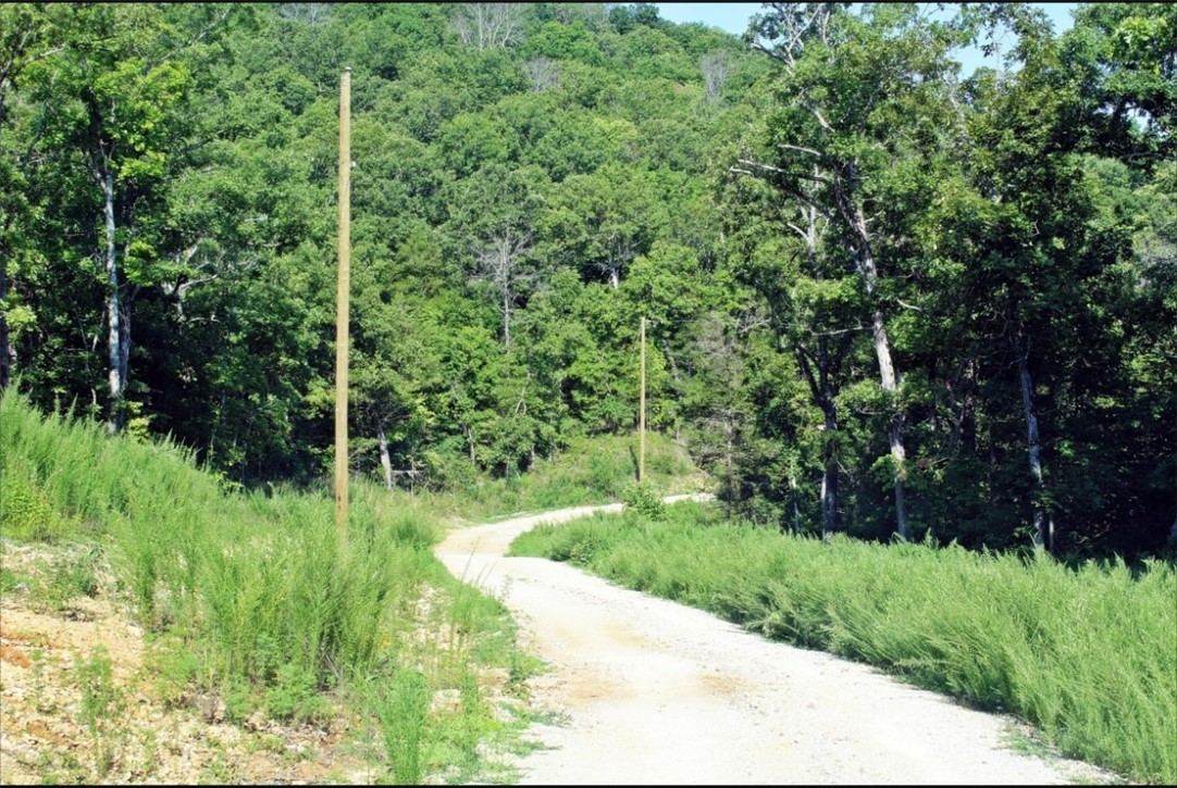 Image 30