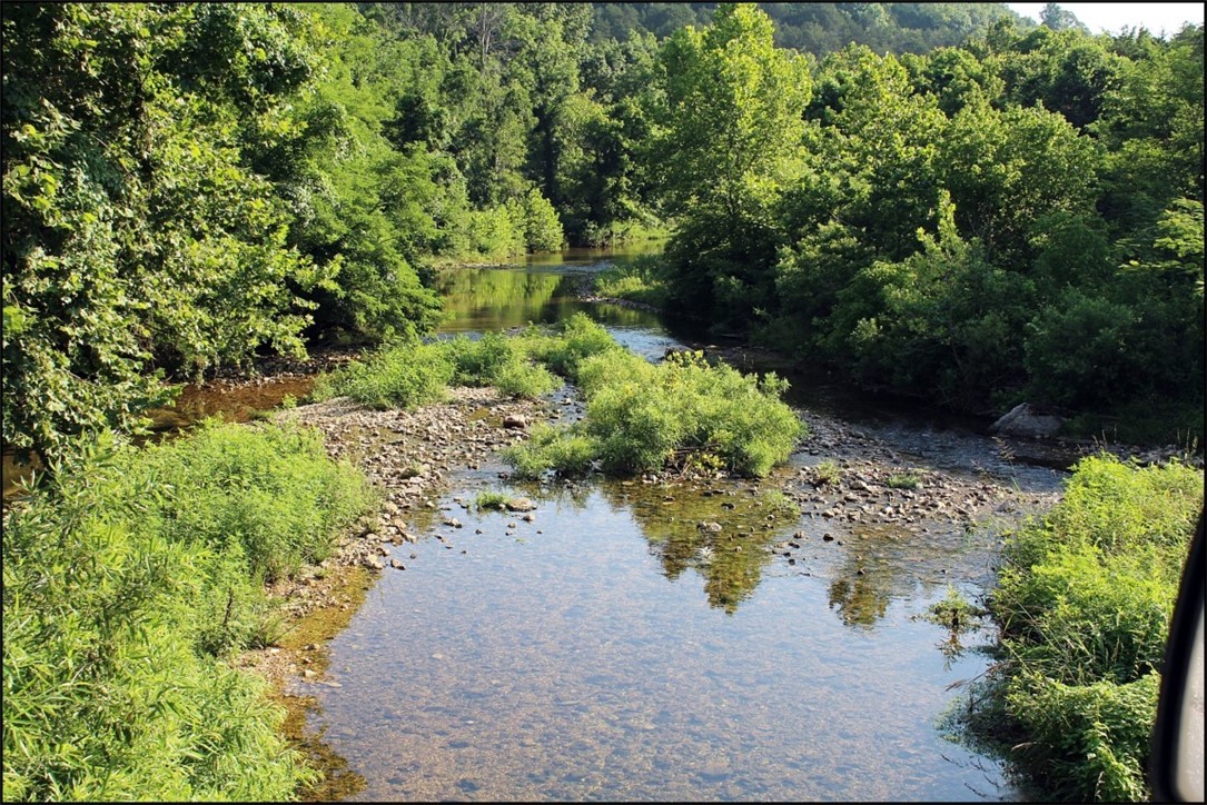 Image 31
