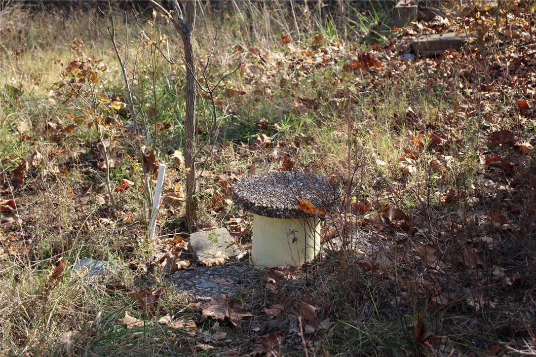 Image 13