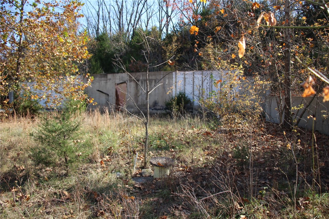 Image 14