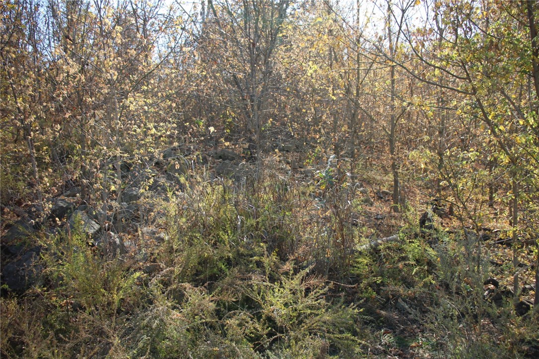 Image 17