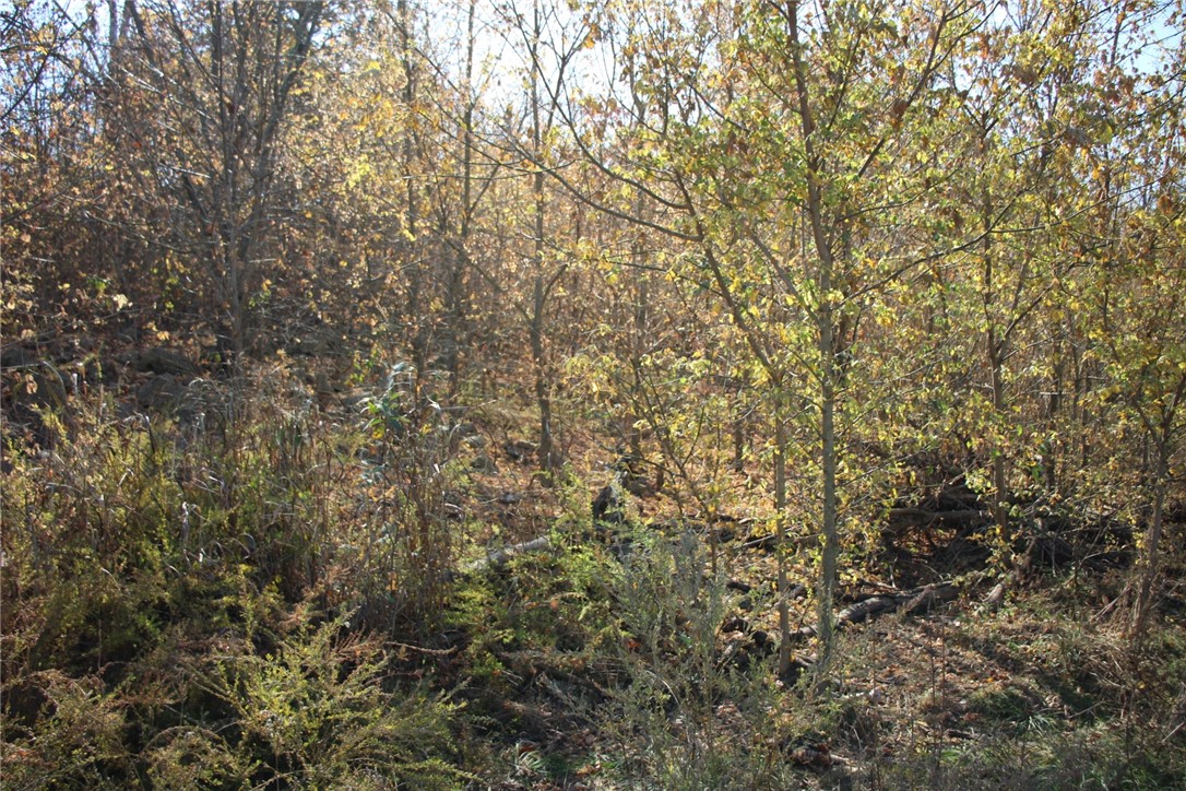 Image 18