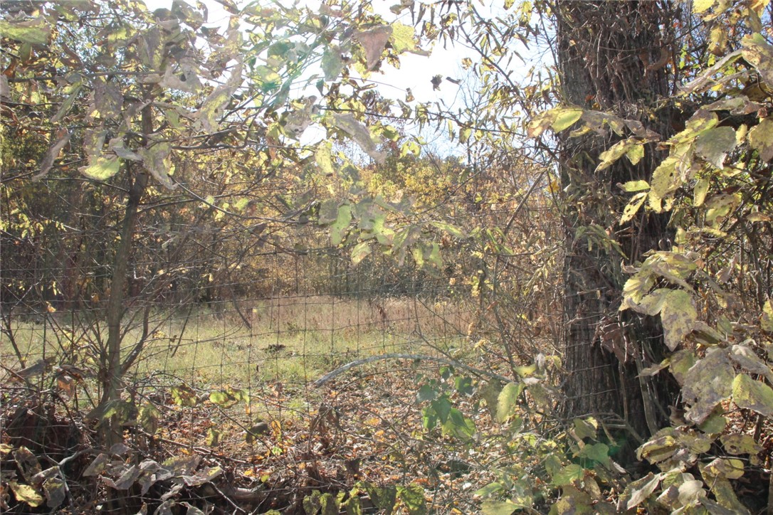 Image 19