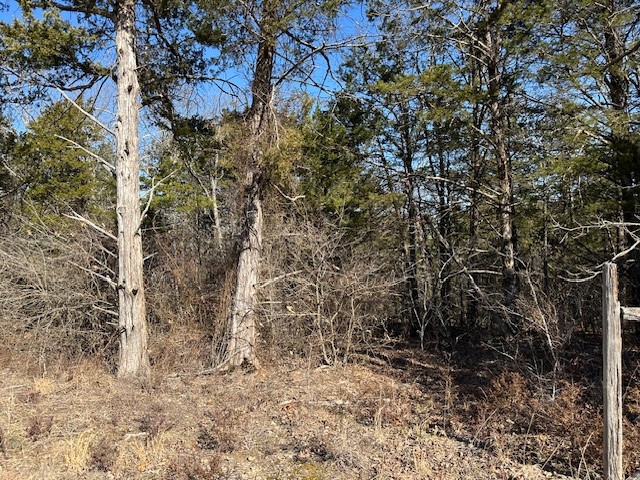 Image 10