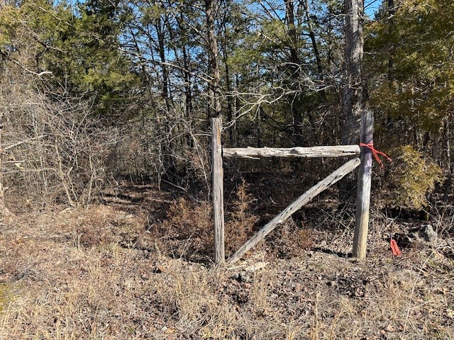 Image 9