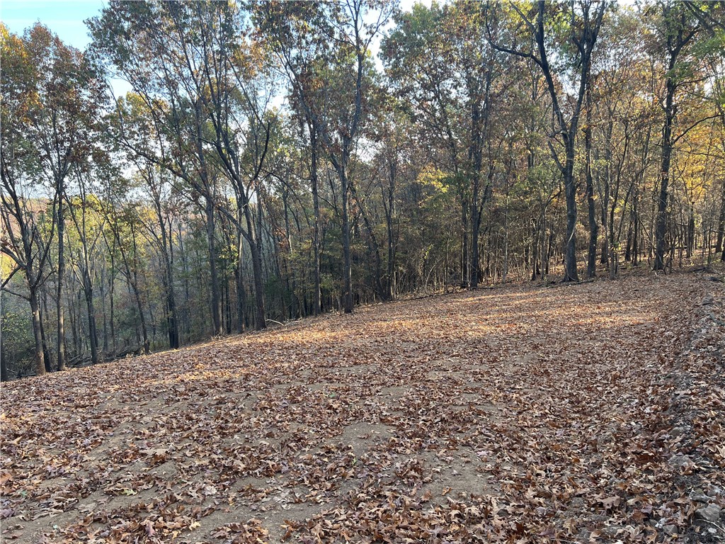 Ozark Haven Realty property-listing-thumbnail