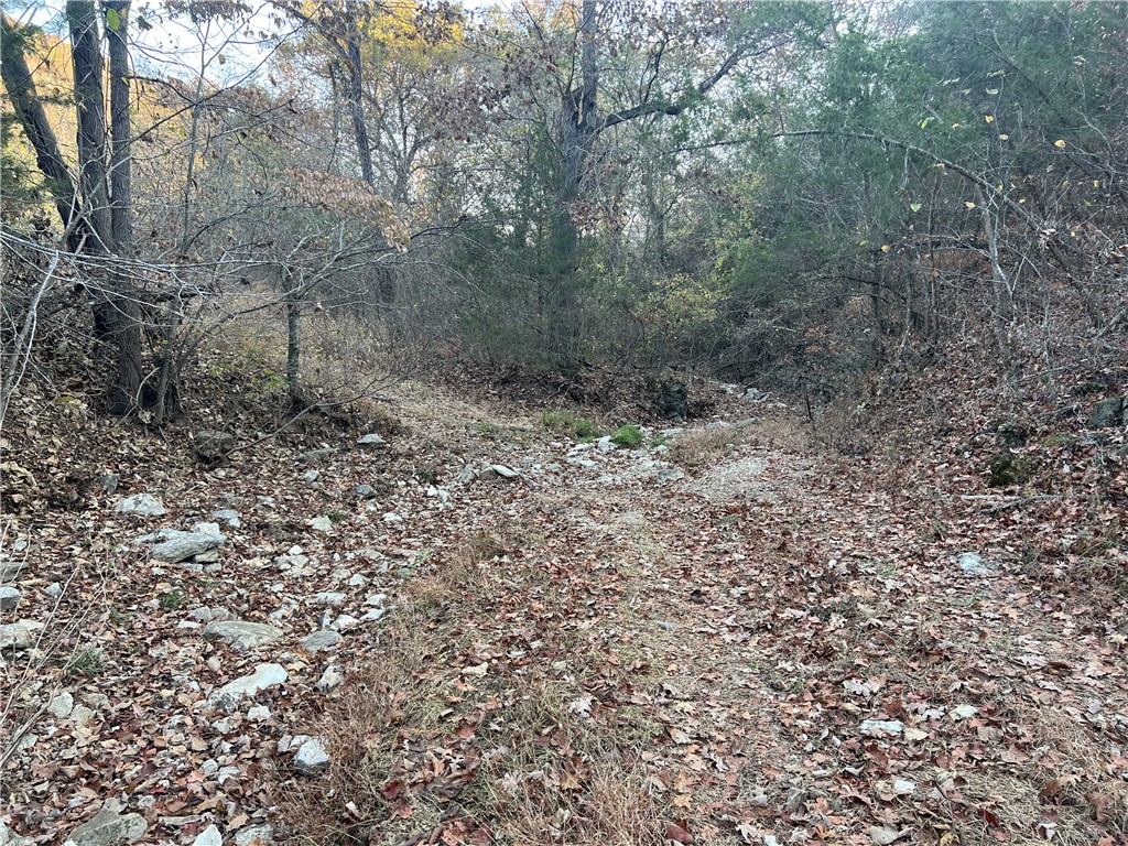 Image 10