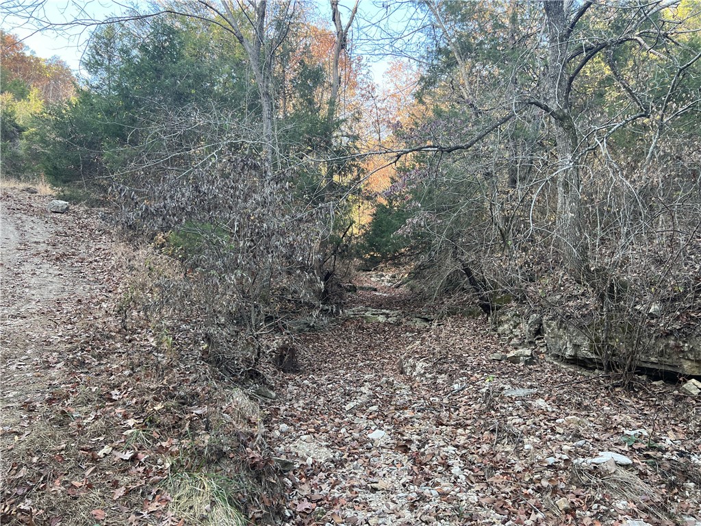 Image 11