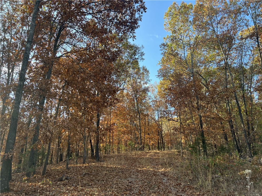 Image 13