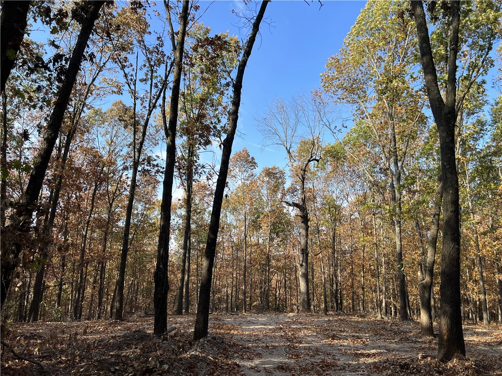 Ozark Haven Realty property-listing-thumbnail